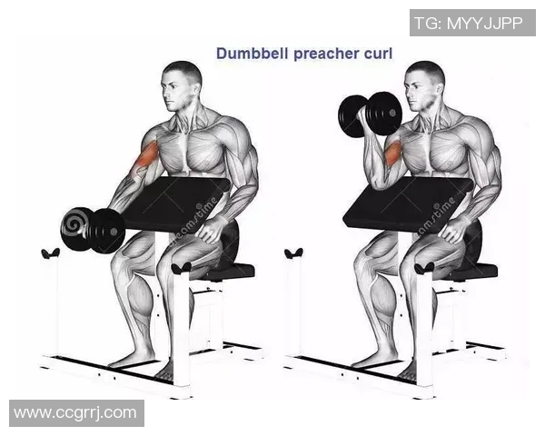 哑铃锻炼手臂肌肉的效果与方法探讨及注意事项分析