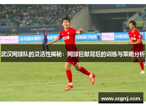 武汉网球队的灵活性揭秘：网球巨献背后的训练与策略分析