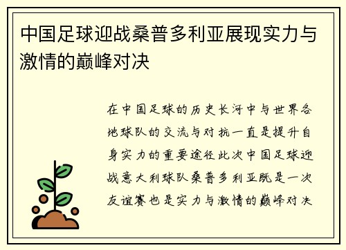 中国足球迎战桑普多利亚展现实力与激情的巅峰对决